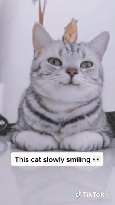 So cute