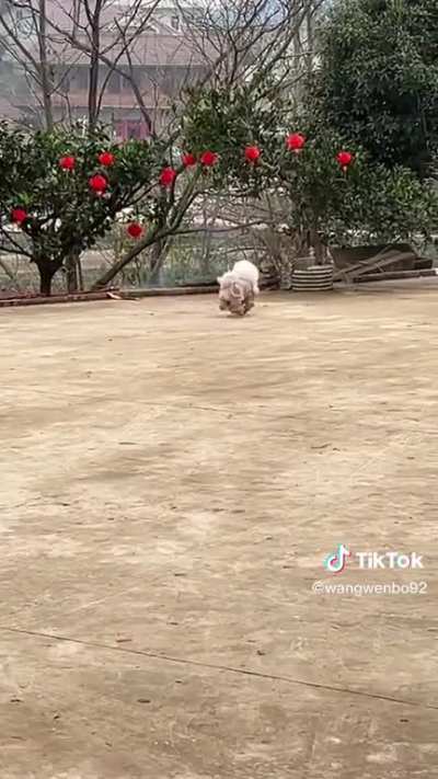 imagine running that hard and thats how fast you go