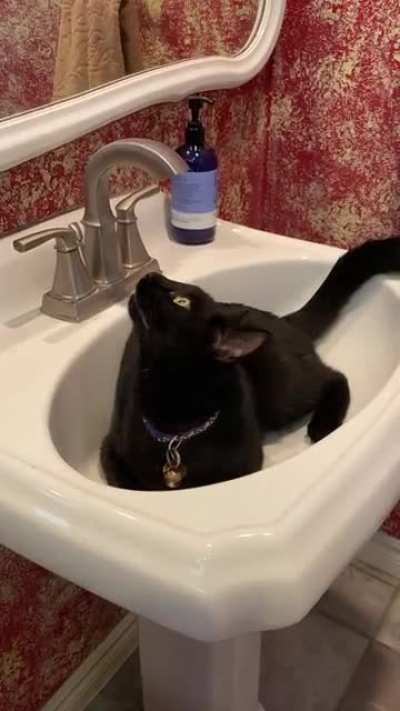Just yellin in a sink...