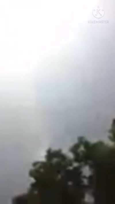 He have been stung by a wasp(auto tune).