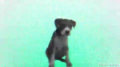 snoop dog anime