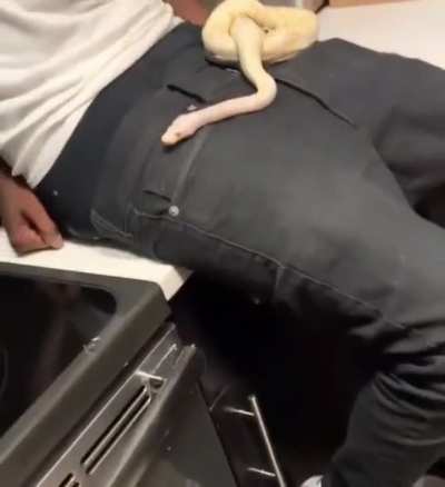 ysl initiation 🐍