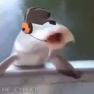 An interesting title