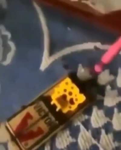 It was so close