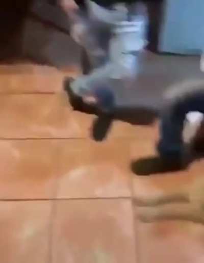 Часть команды, часть корабля!