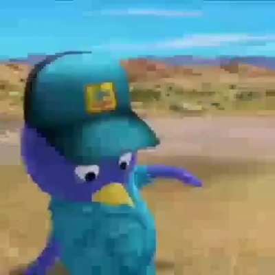pusi