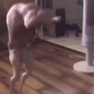 Y'all like my new cat?