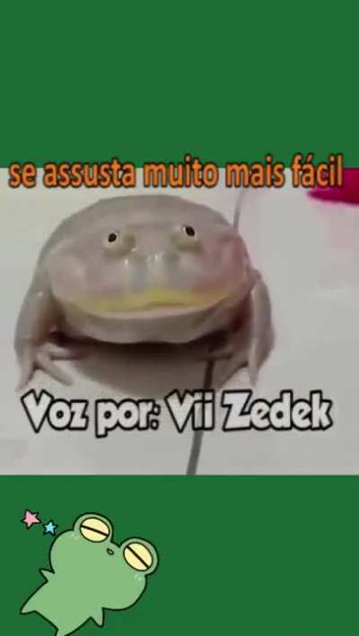 Sapo 2