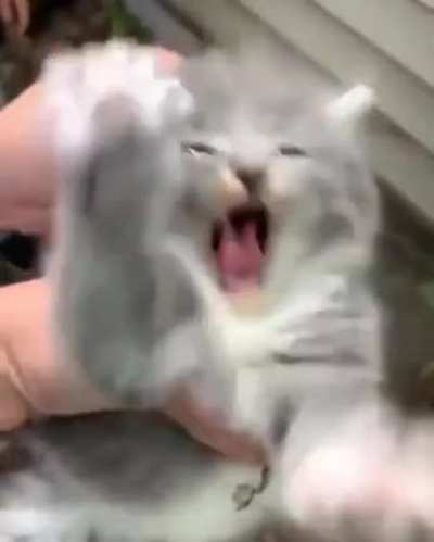 angry