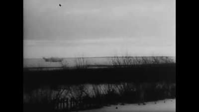 88mm Flak battery near Lake Peipus firing air bursts over Soviet forces during the Battle of Narva in early 1944