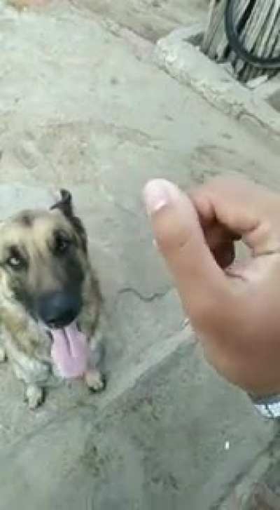 Um tapa na gostoza