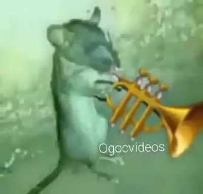 Fare içini döküyor..