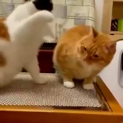 What are you doing?