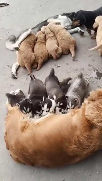 What happen to the family