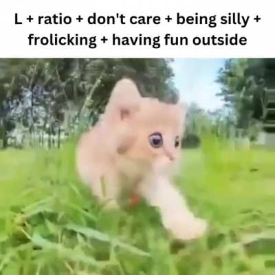 Rule