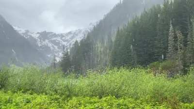 I could have sat here and watched this all day