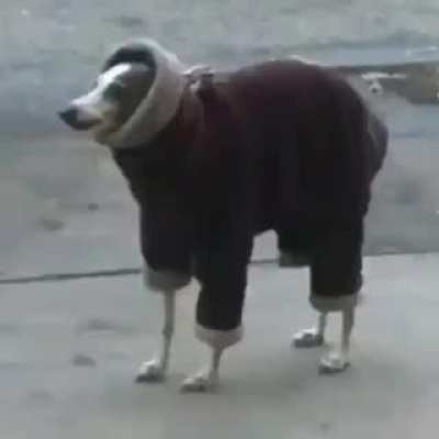 La cancion se llama 