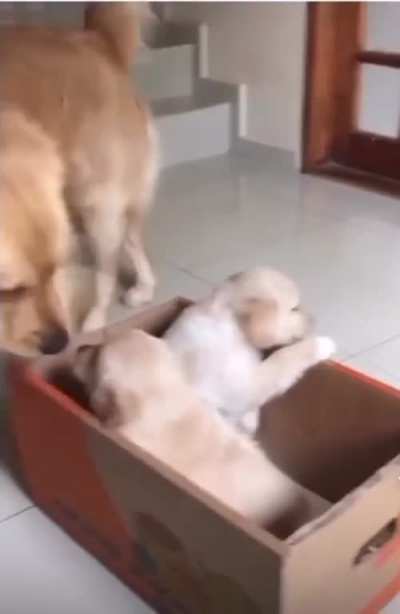 Giving them a warm welcome