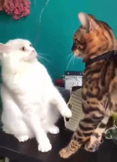 The face of regret.