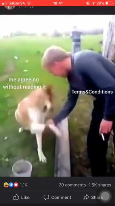 Me irl