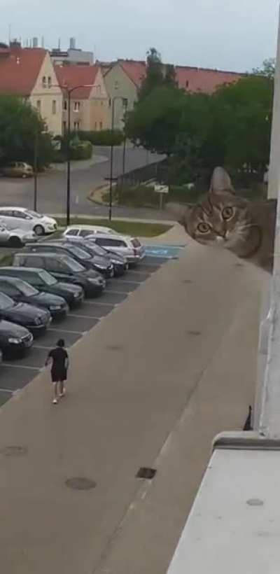 Peeping in the wrong neighborhood