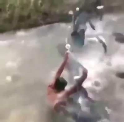 Fish hmmm
