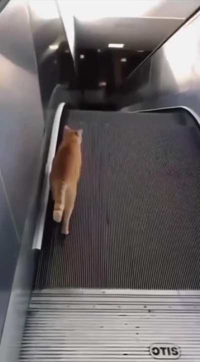 Where is he going?!