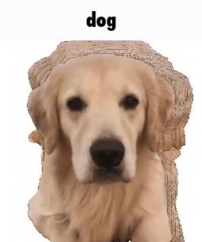 rule