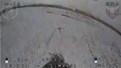 Ukrainian UAV Platoon 