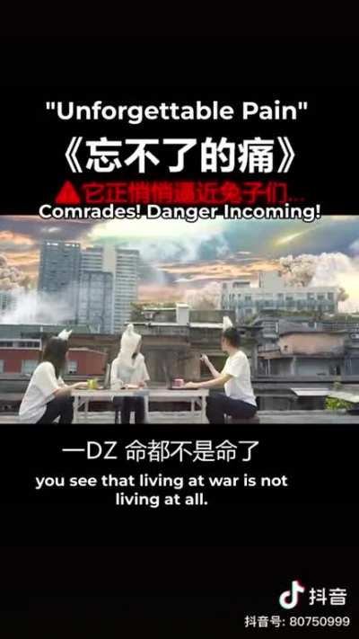 Chinese TikTok: B-2 Spirits are literal demonic spirits summoned by US Air Force cultists.