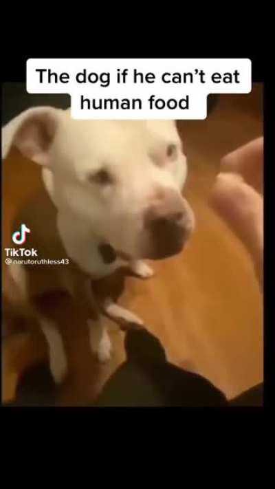 EUHHAAAAAA