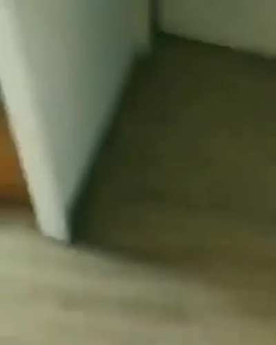 Sal de acá culiao