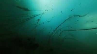 Droning to drowning