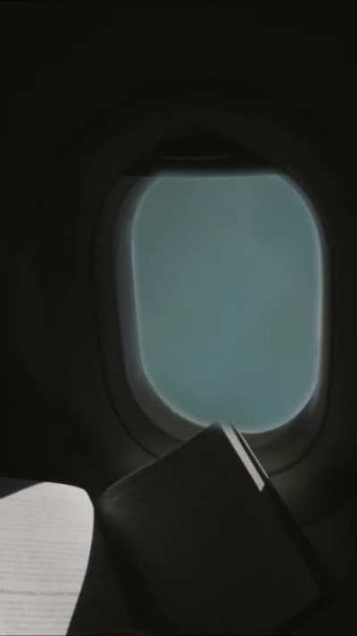 POV: You're reading a nice book on a flight