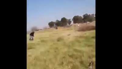González Catán - Toma de terreno con armas tumberas y cuchillos