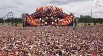 ThisLooksFun 