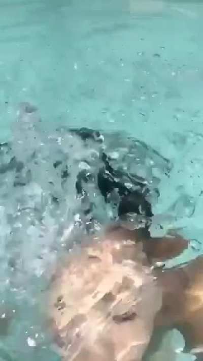 Release The Kraken!