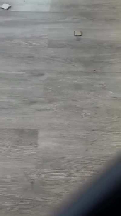 Maybe maybe maybe