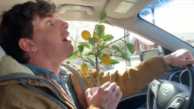 The Urban Rescue Ranch’s Lemon Scream