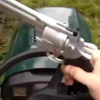 The 