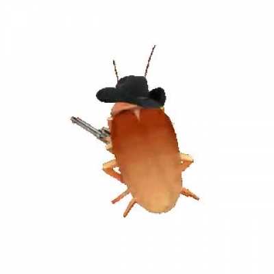 The Arizona röàçh with a big iron on his hip
