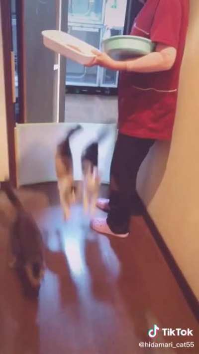 Unleash the horde