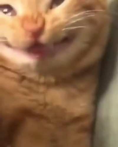 Q cara é essa???