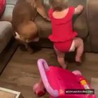 Short legs problem....