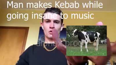 Moldy Cook