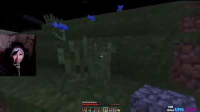 Content Alert! Techno on Quackity's stream last night (QuackityHQ on Twitch) - credit to @PINKPlGLET on Twitter for the great video snip)