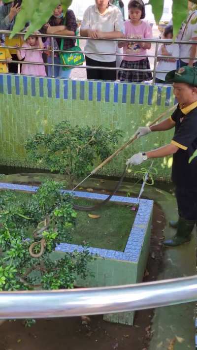 Dong Tam snake farm