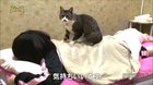 Best massage ever