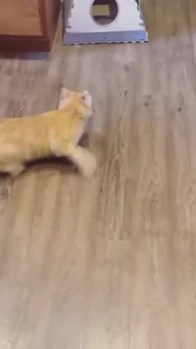 sneak attack!