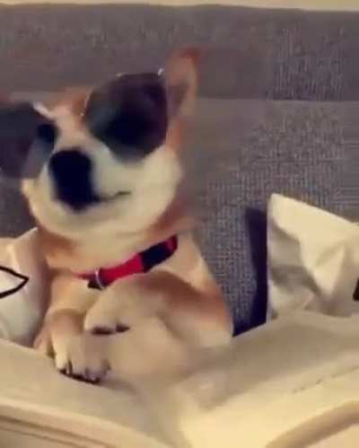 Dekh kya raha hai bhomsdikey... Isko boltey hai SWAG... :D